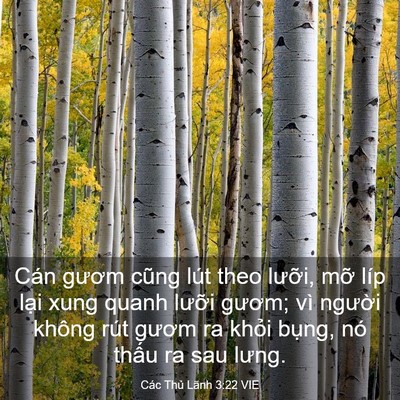 Picture 03 - Các Thủ Lãnh 3:22 VIE - Cán gươm cũng lút theo lưỡi, mỡ líp - Bible Verse Picture