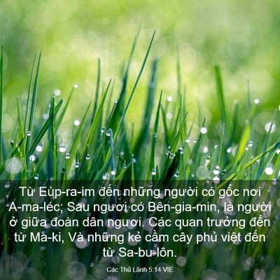 Picture 03 - Các Thủ Lãnh 5:14 VIE - Từ Eùp-ra-im đến những người có gốc - Bible Verse Picture