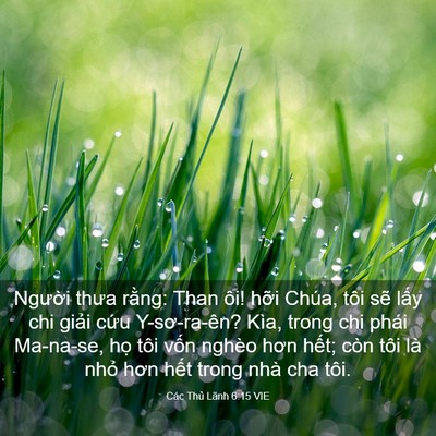 Picture 03 - Các Thủ Lãnh 6:15 VIE - Người thưa rằng: Than ôi! hỡi Chúa, - Bible Verse Picture
