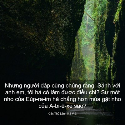 Picture 03 - Các Thủ Lãnh 8:2 VIE - Nhưng người đáp cùng chúng rằng: Sánh - Bible Verse Picture