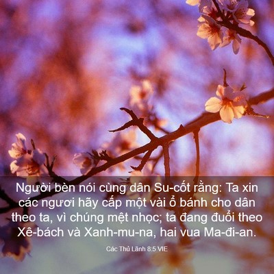 Picture 03 - Các Thủ Lãnh 8:5 VIE - Người bèn nói cùng dân Su-cốt rằng: Ta - Bible Verse Picture