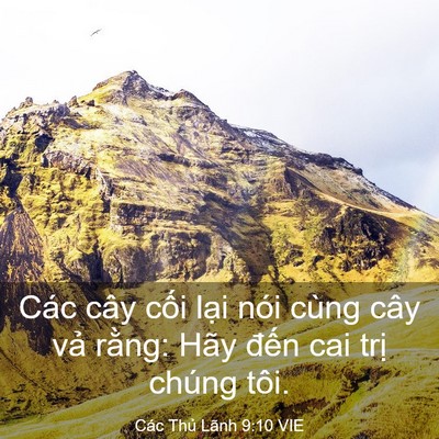 Picture 03 - Các Thủ Lãnh 9:10 VIE - Các cây cối lại nói cùng cây vả - Bible Verse Picture