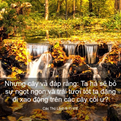 Picture 03 - Các Thủ Lãnh 9:11 VIE - Nhưng cây vả đáp rằng: Ta há sẽ bỏ - Bible Verse Picture