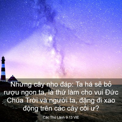 Picture 03 - Các Thủ Lãnh 9:13 VIE - Nhưng cây nho đáp: Ta há sẽ bỏ rượu - Bible Verse Picture