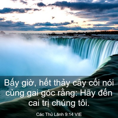 Picture 03 - Các Thủ Lãnh 9:14 VIE - Bấy giờ, hết thảy cây cối nói cùng - Bible Verse Picture
