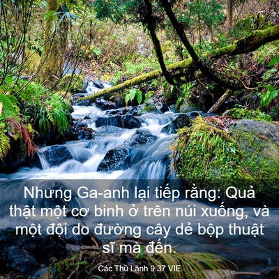 Picture 03 - Các Thủ Lãnh 9:37 VIE - Nhưng Ga-anh lại tiếp rằng: Quả thật - Bible Verse Picture