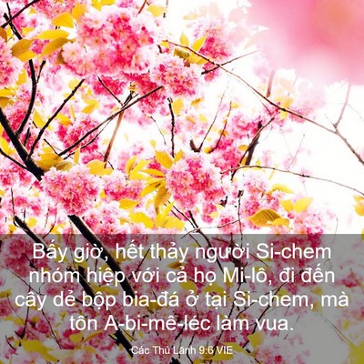 Picture 03 - Các Thủ Lãnh 9:6 VIE - Bấy giờ, hết thảy người Si-chem nhóm - Bible Verse Picture