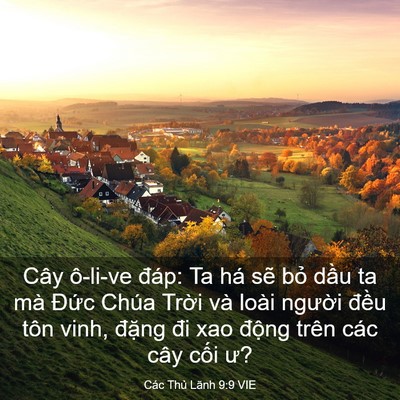 Picture 03 - Các Thủ Lãnh 9:9 VIE - Cây ô-li-ve đáp: Ta há sẽ bỏ dầu ta - Bible Verse Picture