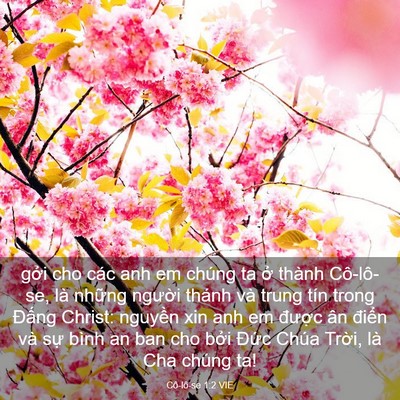 Picture 03 - Cô-lô-se 1:2 VIE - gởi cho các anh em chúng ta ở thành - Bible Verse Picture