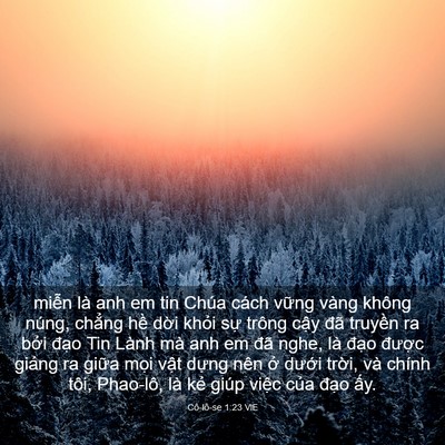 Picture 03 - Cô-lô-se 1:23 VIE - miễn là anh em tin Chúa cách vững vàng - Bible Verse Picture