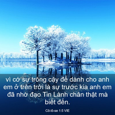 Picture 03 - Cô-lô-se 1:5 VIE - vì cớ sự trông cậy để dành cho anh em - Bible Verse Picture