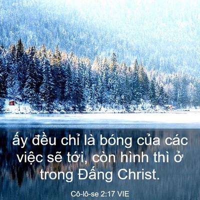 Picture 03 - Cô-lô-se 2:17 VIE - ấy đều chỉ là bóng của các việc - Bible Verse Picture