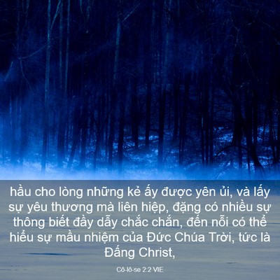 Picture 03 - Cô-lô-se 2:2 VIE - hầu cho lòng những kẻ ấy được yên - Bible Verse Picture