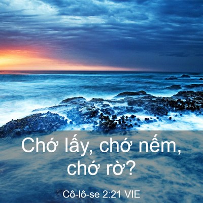 Picture 03 - Cô-lô-se 2:21 VIE - Chớ lấy, chớ nếm, chớ - Bible Verse Picture