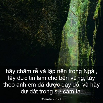 Picture 03 - Cô-lô-se 2:7 VIE - hãy châm rễ và lập nền trong Ngài, - Bible Verse Picture