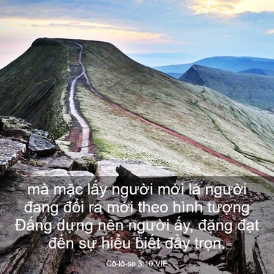 Picture 03 - Cô-lô-se 3:10 VIE - mà mặc lấy người mới là người đang - Bible Verse Picture