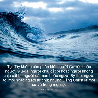 Picture 03 - Cô-lô-se 3:11 VIE - Tại đây không còn phân biệt người - Bible Verse Picture