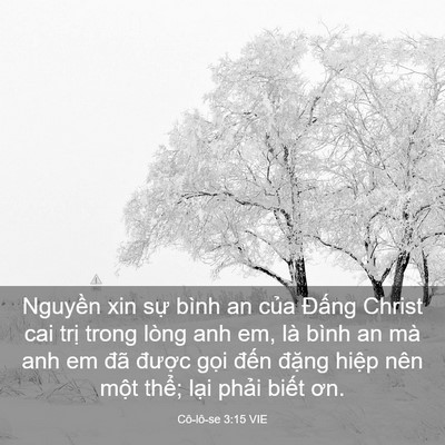 Picture 03 - Cô-lô-se 3:15 VIE - Nguyền xin sự bình an của Đấng Christ - Bible Verse Picture