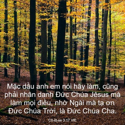Picture 03 - Cô-lô-se 3:17 VIE - Mặc dầu anh em nói hãy làm, cũng phải - Bible Verse Picture