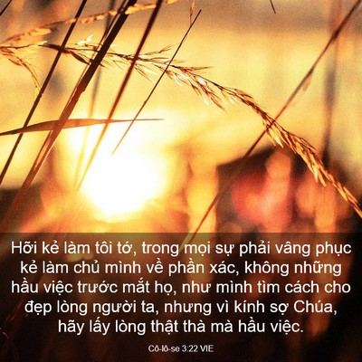 Picture 03 - Cô-lô-se 3:22 VIE - Hỡi kẻ làm tôi tớ, trong mọi sự - Bible Verse Picture