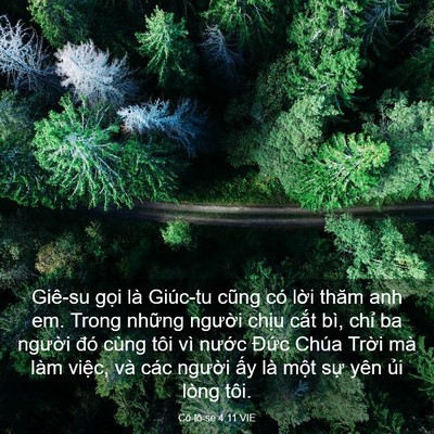 Picture 03 - Cô-lô-se 4:11 VIE - Giê-su gọi là Giúc-tu cũng có lời thăm - Bible Verse Picture
