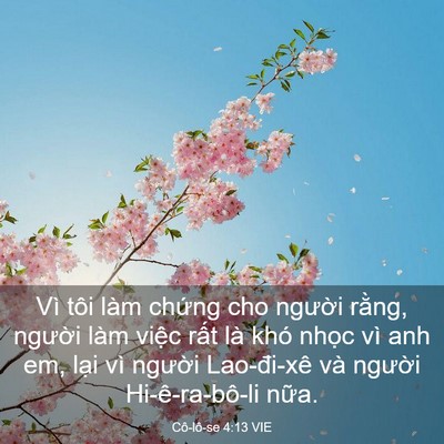 Picture 03 - Cô-lô-se 4:13 VIE - Vì tôi làm chứng cho người rằng, - Bible Verse Picture