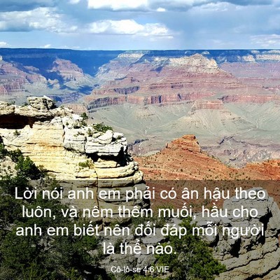 Picture 03 - Cô-lô-se 4:6 VIE - Lời nói anh em phải có ân hậu theo - Bible Verse Picture