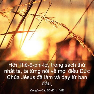Picture 03 - Công Vụ Các Sứ đồ 1:1 VIE - Hỡi Thê-ô-phi-lơ, trong sách thứ nhất - Bible Verse Picture