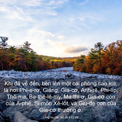 Picture 03 - Công Vụ Các Sứ đồ 1:13 VIE - Khi đã về đến, bèn lên một cái phòng - Bible Verse Picture