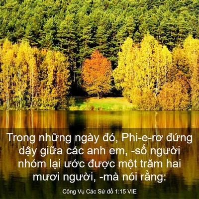 Picture 03 - Công Vụ Các Sứ đồ 1:15 VIE - Trong những ngày đó, Phi-e-rơ đứng dậy - Bible Verse Picture