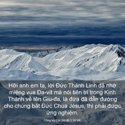 Picture 03 - Công Vụ Các Sứ đồ 1:16 VIE - Hỡi anh em ta, lời Đức Thánh Linh đã - Bible Verse Picture