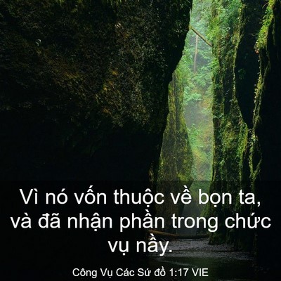 Picture 03 - Công Vụ Các Sứ đồ 1:17 VIE - Vì nó vốn thuộc về bọn ta, và đã - Bible Verse Picture