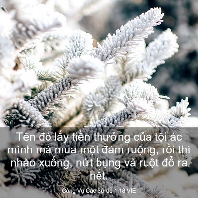 Picture 03 - Công Vụ Các Sứ đồ 1:18 VIE - Tên đó lấy tiền thưởng của tội ác - Bible Verse Picture