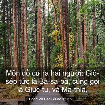 Picture 03 - Công Vụ Các Sứ đồ 1:23 VIE - Môn đồ cử ra hai người: Giô-sép tức - Bible Verse Picture