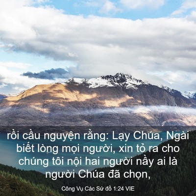 Picture 03 - Công Vụ Các Sứ đồ 1:24 VIE - rồi cầu nguyện rằng: Lạy Chúa, Ngài - Bible Verse Picture