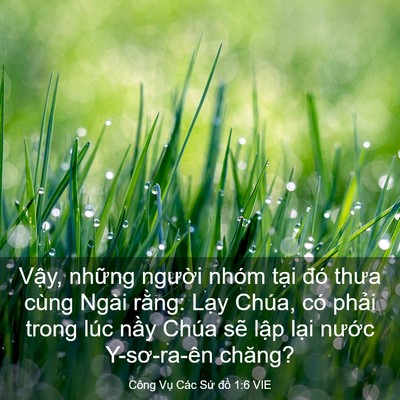 Picture 03 - Công Vụ Các Sứ đồ 1:6 VIE - Vậy, những người nhóm tại đó thưa - Bible Verse Picture