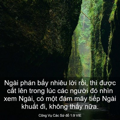 Picture 03 - Công Vụ Các Sứ đồ 1:9 VIE - Ngài phán bấy nhiêu lời rồi, thì - Bible Verse Picture