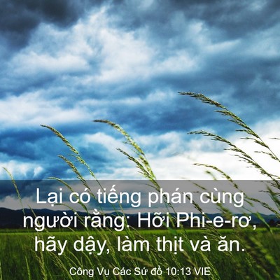 Picture 03 - Công Vụ Các Sứ đồ 10:13 VIE - Lại có tiếng phán cùng người rằng: - Bible Verse Picture