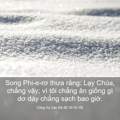Picture 03 - Công Vụ Các Sứ đồ 10:14 VIE - Song Phi-e-rơ thưa rằng: Lạy Chúa, chẳng - Bible Verse Picture