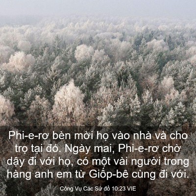 Picture 03 - Công Vụ Các Sứ đồ 10:23 VIE - Phi-e-rơ bèn mời họ vào nhà và cho trọ - Bible Verse Picture