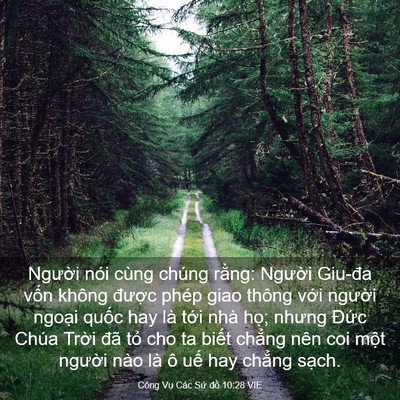 Picture 03 - Công Vụ Các Sứ đồ 10:28 VIE - Người nói cùng chúng rằng: Người - Bible Verse Picture