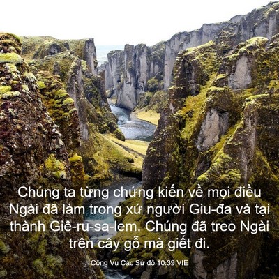 Picture 03 - Công Vụ Các Sứ đồ 10:39 VIE - Chúng ta từng chứng kiến về mọi - Bible Verse Picture