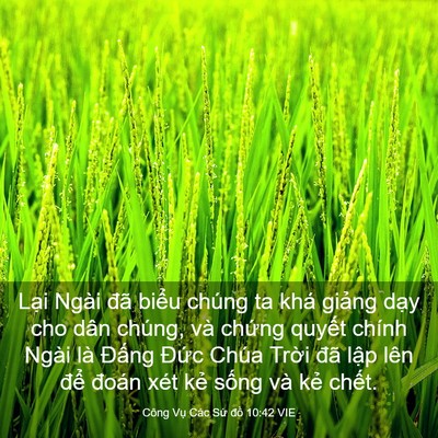 Picture 03 - Công Vụ Các Sứ đồ 10:42 VIE - Lại Ngài đã biểu chúng ta khá giảng - Bible Verse Picture