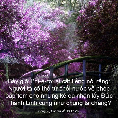 Picture 03 - Công Vụ Các Sứ đồ 10:47 VIE - Bấy giờ Phi-e-rơ lại cất tiếng nói - Bible Verse Picture