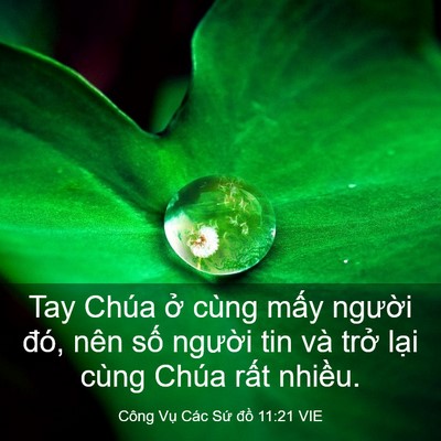 Picture 03 - Công Vụ Các Sứ đồ 11:21 VIE - Tay Chúa ở cùng mấy người đó, nên - Bible Verse Picture