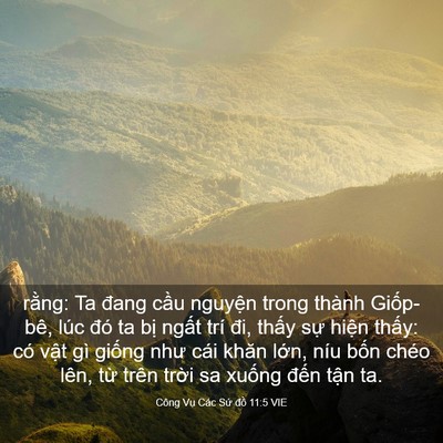 Picture 03 - Công Vụ Các Sứ đồ 11:5 VIE - rằng: Ta đang cầu nguyện trong thành - Bible Verse Picture