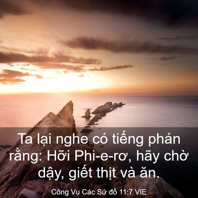 Picture 03 - Công Vụ Các Sứ đồ 11:7 VIE - Ta lại nghe có tiếng phán rằng: Hỡi - Bible Verse Picture