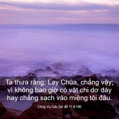 Picture 03 - Công Vụ Các Sứ đồ 11:8 VIE - Ta thưa rằng: Lạy Chúa, chẳng vậy; vì - Bible Verse Picture