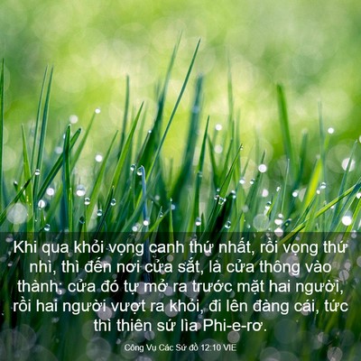 Picture 03 - Công Vụ Các Sứ đồ 12:10 VIE - Khi qua khỏi vọng canh thứ nhất, rồi - Bible Verse Picture