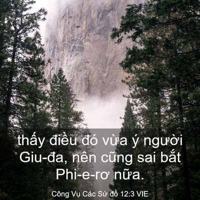 Picture 03 - Công Vụ Các Sứ đồ 12:3 VIE - thấy điều đó vừa ý người Giu-đa, - Bible Verse Picture